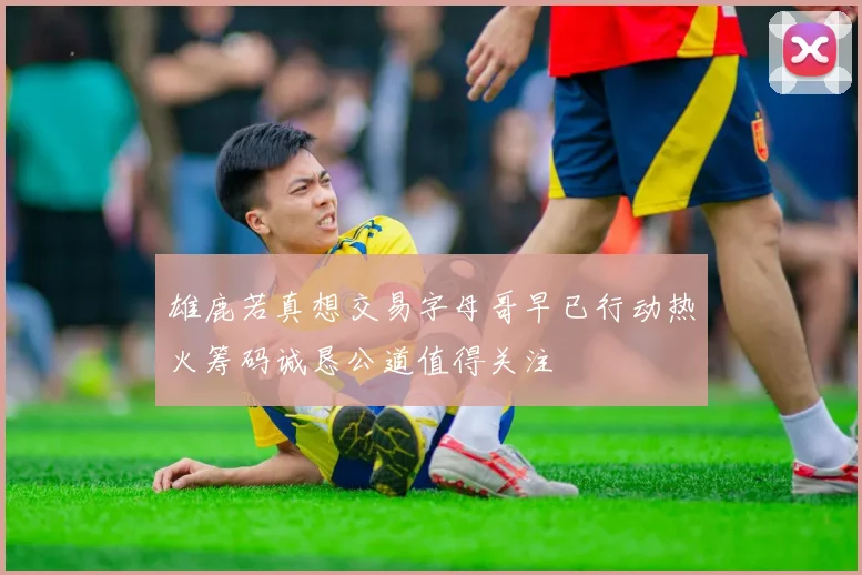 雄鹿若真想交易字母哥早已行动热火筹码诚恳公道值得关注